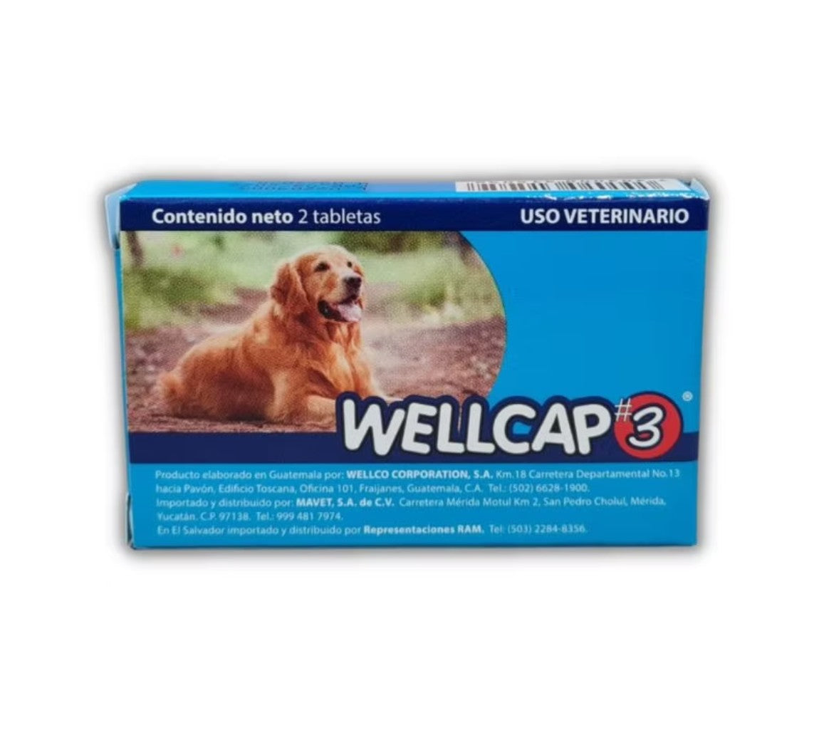Wellcap # 3 (18Kg)