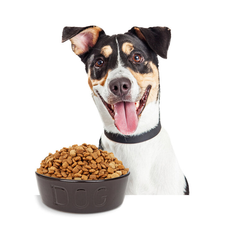 Alimentos para Perro