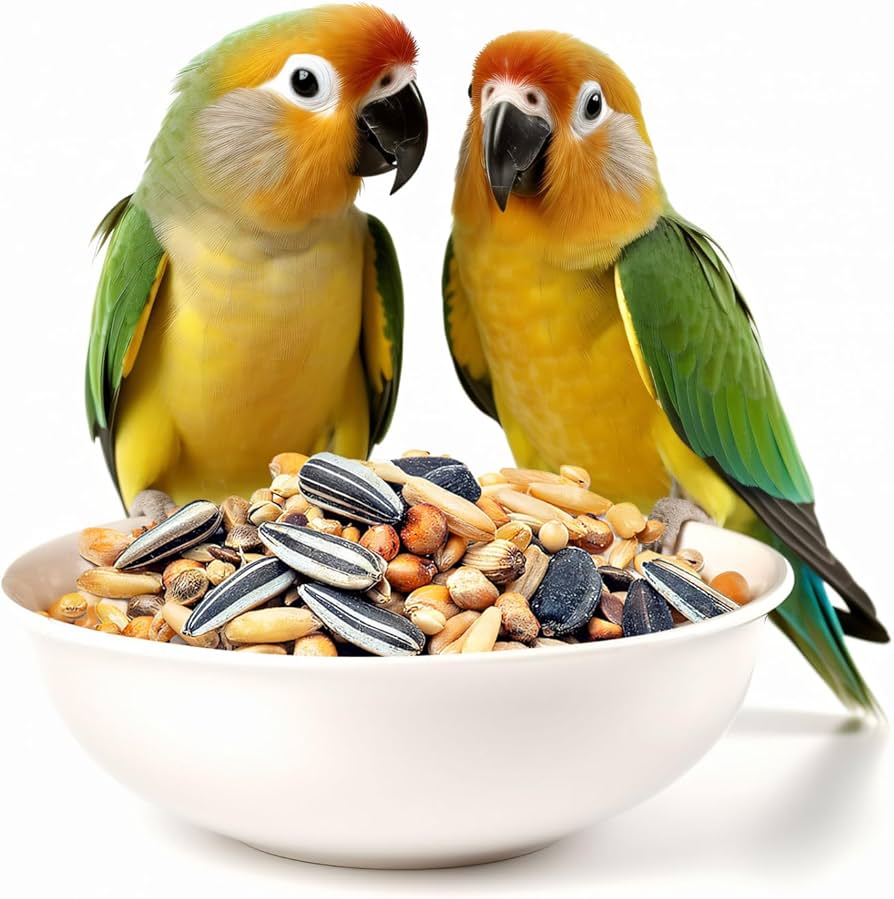 Alimentos para Aves