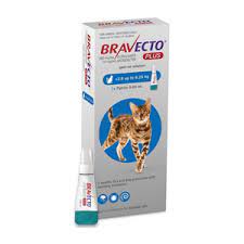 Bravecto Plus pipeta antipulgas para gato de 2.8kg - 6.25kg