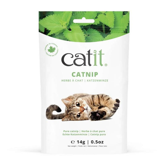 Catnip 14G