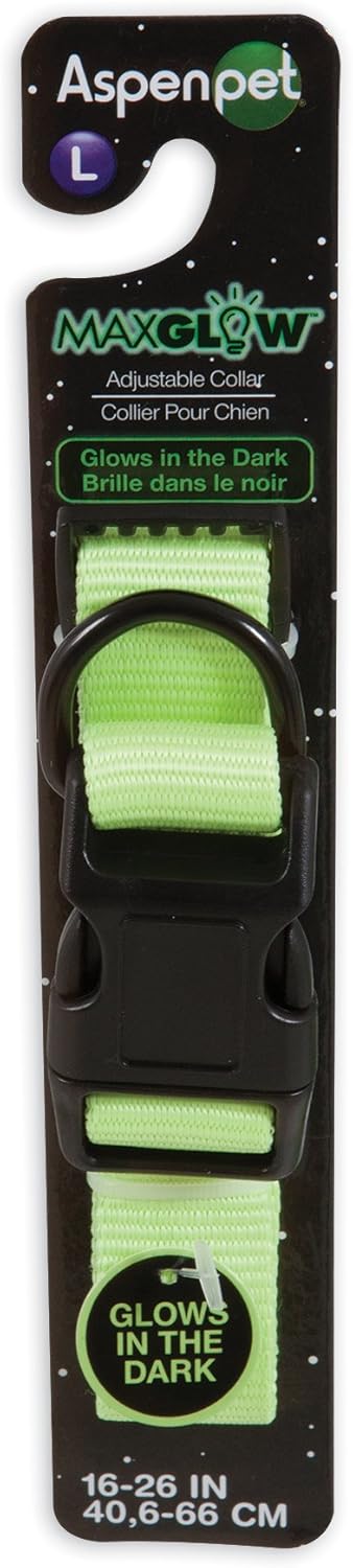 Aspen Pet Adj Collar Glow In Dark 1"X16-26" Light Green