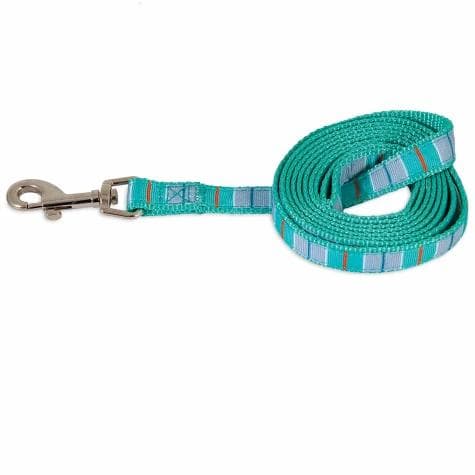 Aspen Pet Dog Leash 1"X6' Teal Stripe