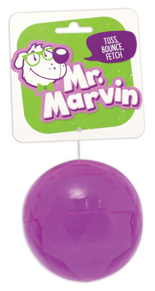 Mr.M Juguete Bola  Lisa Rebote