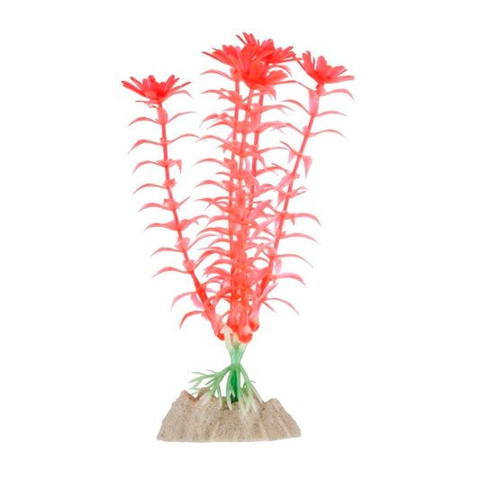 Tetra Planta Peces Naranja Mediana