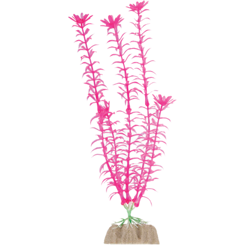 Glofish Peces Planta Rosa Para Pecera