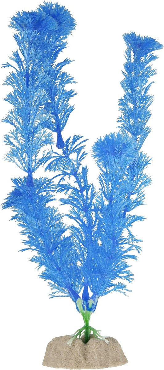 Tetra Planta Peces Azul