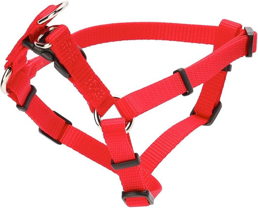 Coastal Arnes Perro Rojo 30-45 Cm