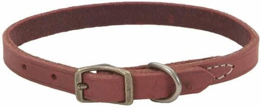Collar Cuero 10" 3113  Brk10