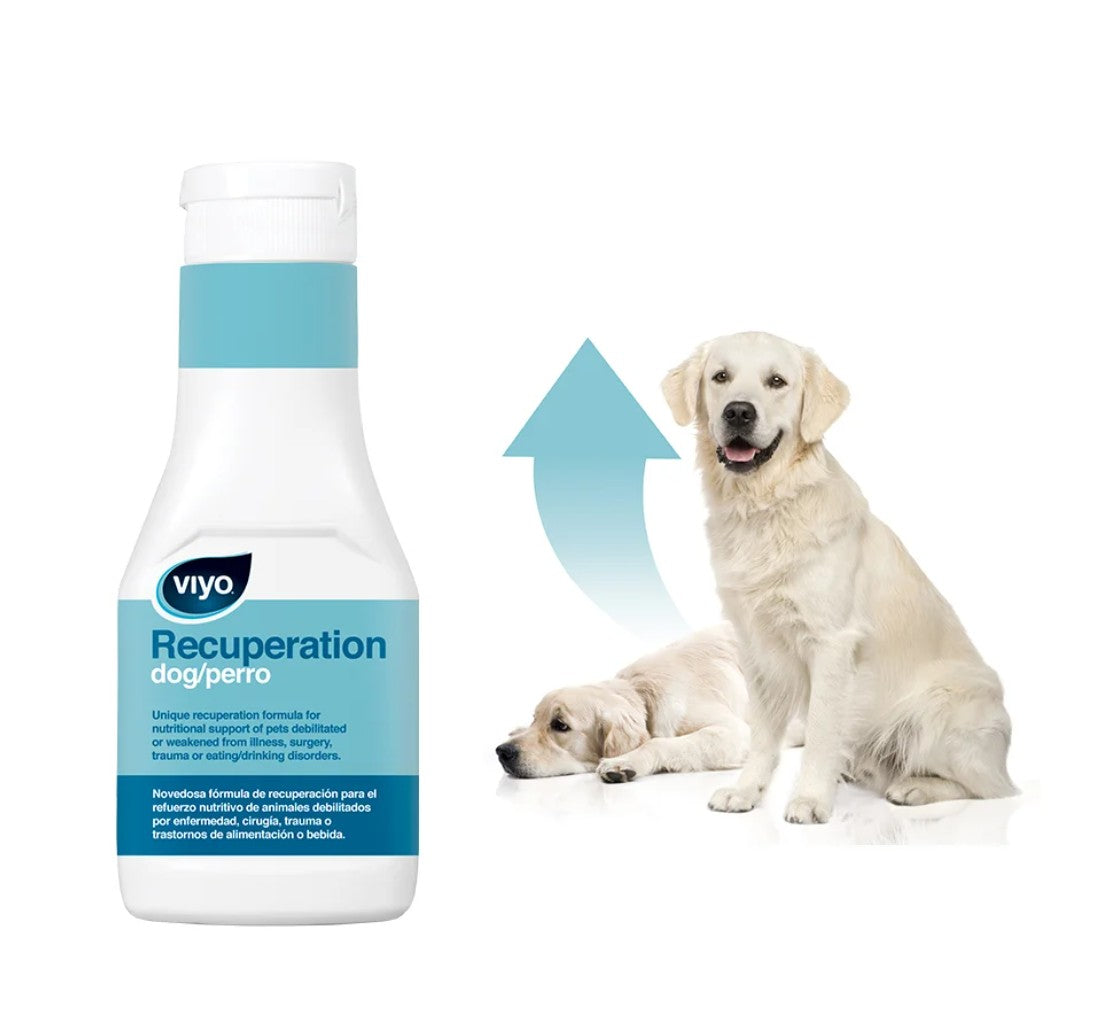 Viyo Recuperacion Perro 150Ml Unidad