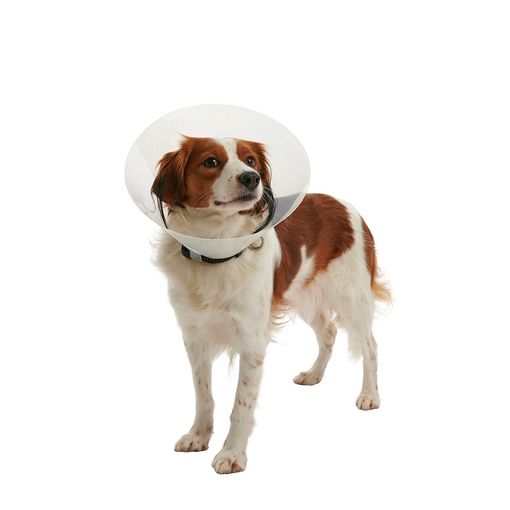 Collar Isabelino Perro 25 Cm (Kruuse)