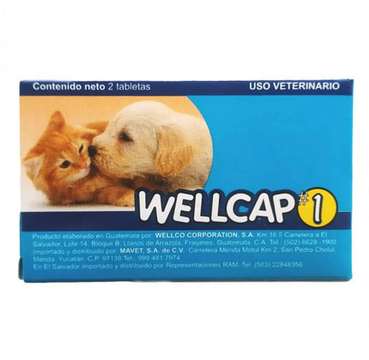 Wellcap # 1 (3Kg)