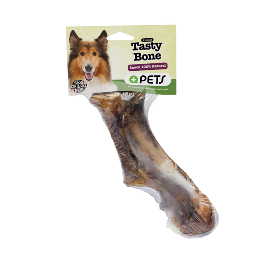 Q Pets Tasty Bone 1 Und