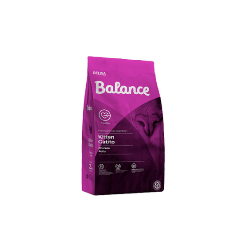 Balance Kitten Cat 10K