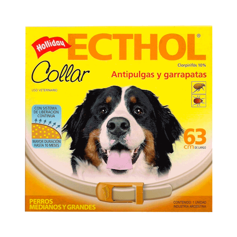 Ecthol Perro Grande 63 Cm