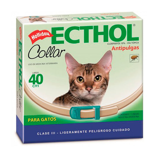 Ecthol Gato 40 Cm