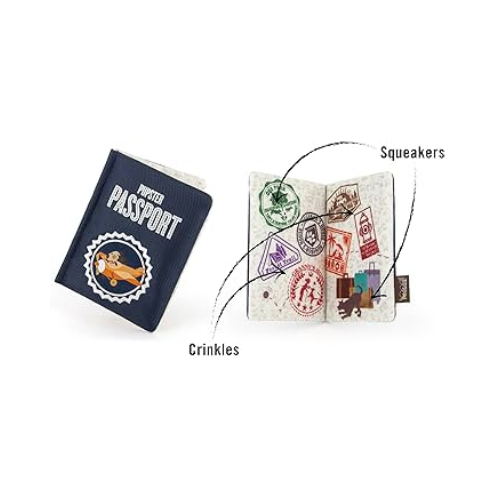 Globetrotter Toy Passport