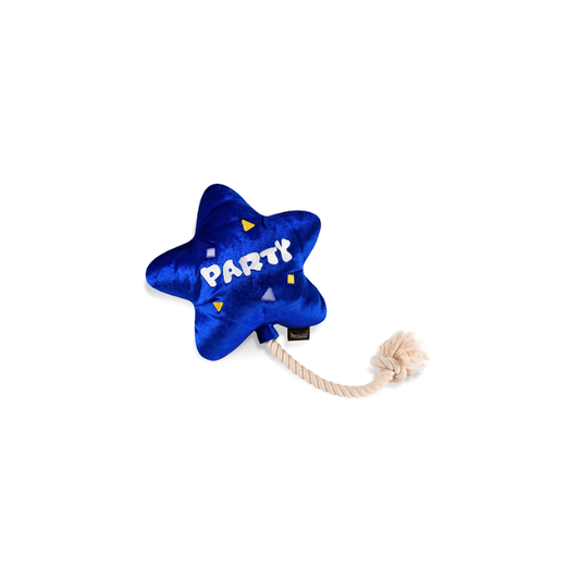 Party Time Mini Balloon