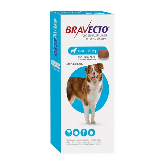 Msd Bravecto 1000 Mg (20-40Kg)