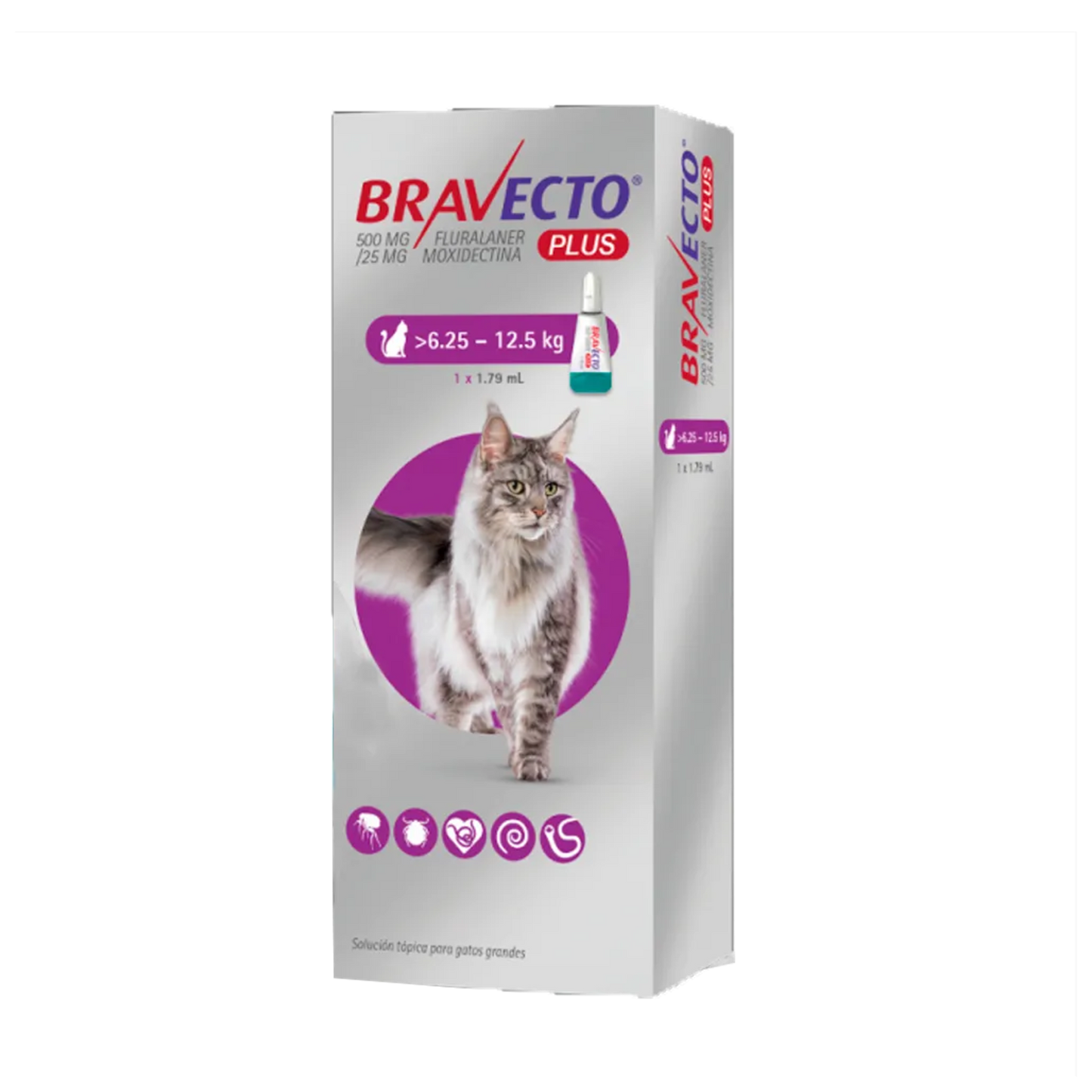 Msd Bravecto Plus Cat 500Mg (6.25-12.5Kg)