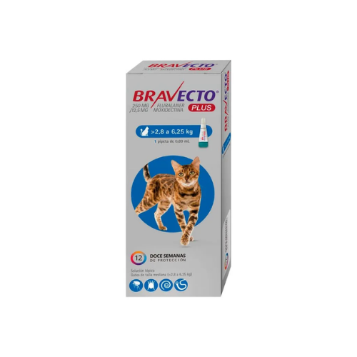 Msd Bravecto Plus Cat 250Mg (2.8-6.25Kg)